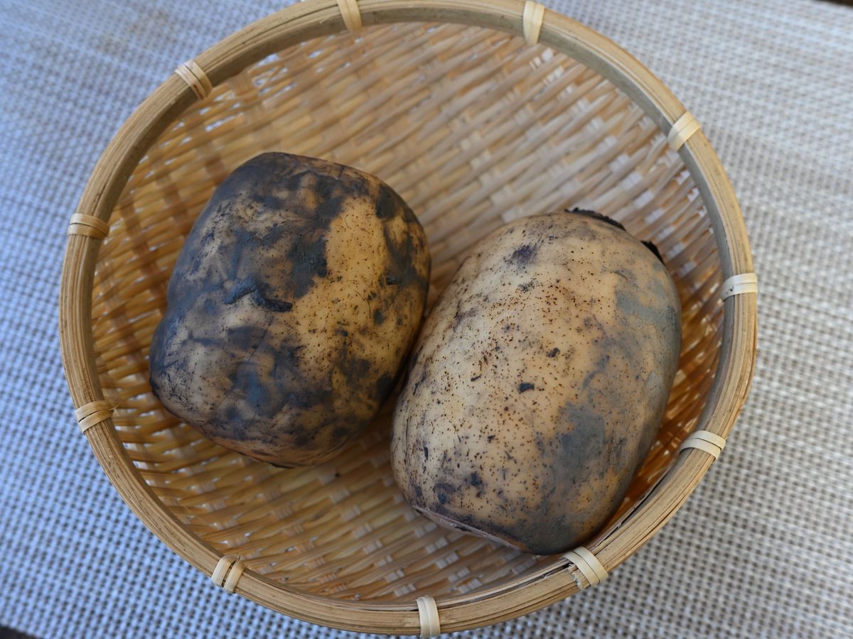 ポツンと一軒家』で紹介した情報の一覧・ロケ地マップActiviTV