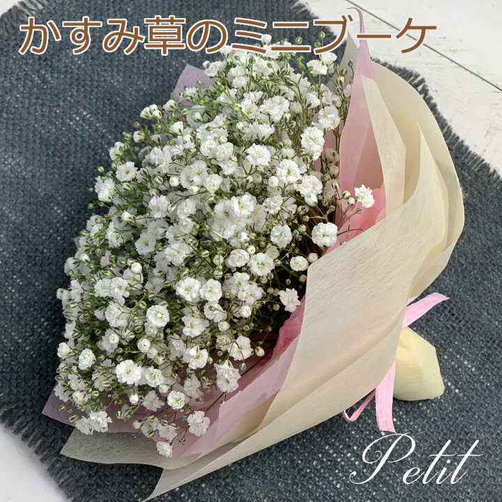 かすみ草 カスミソウ の花束・ブーケフラワーギフトならHitoHana