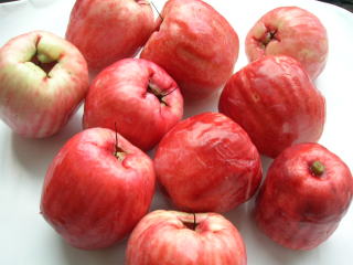 ベトナムの熱帯の宝物トップ20を発見 – ベトナムの果物究極ガイド