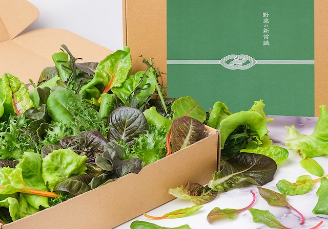 野菜宅配のおすすめサービスを徹底比較！コスパや鮮度の高さも解説！ - コスパ部