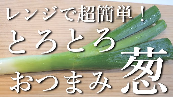 トースターで 長ネギのおつまみ焼き浸し