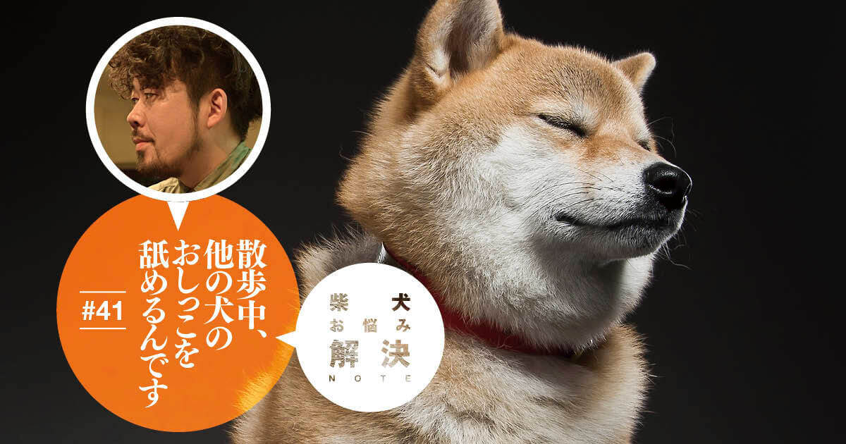 犬がおしっこを舐める理由と対処法 | わんちゃんホンポ