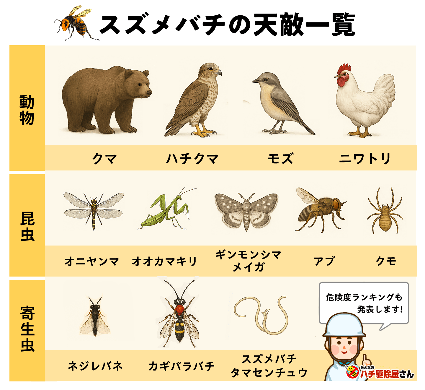 スズメバチの天敵ランキング 1位は熊！でも、あなたの家の巣は駆除してくれない理由