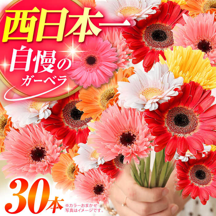 産地直送の花 花農家直送 お花と観葉植物のオンライン宅配ショップ – LIFFT