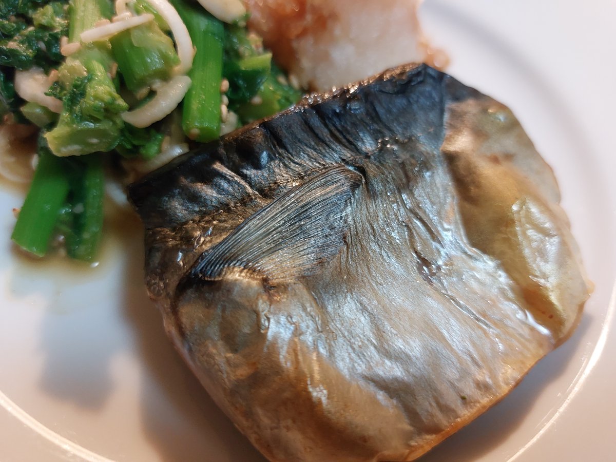 2025最新 臭いケア×お手入れ簡単 魚焼き器！人気おすすめアイテムランキングわたしと、暮らし