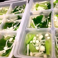 簡単☆小松菜とえのきのおひたし