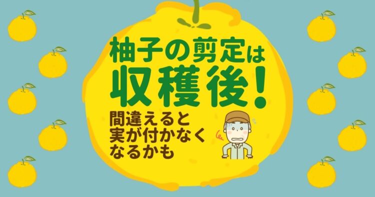 ゆずは冷蔵・冷凍保存がおすすめ。野菜ソムリエが香りを逃さないコツを伝授2ページ目- macaroni