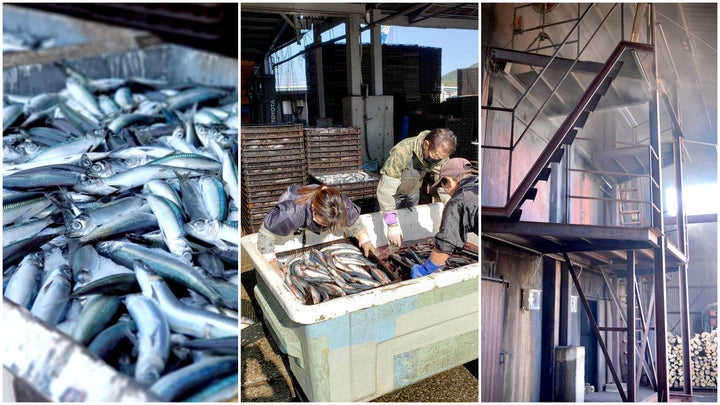 札幌らーめん 大地 味噌らーめん燻製味付玉子入り金沢ラーメン遊歩