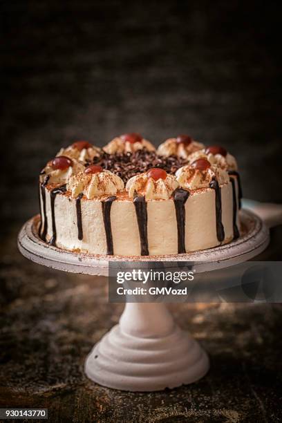 写真ケーキのガトーショコラ5号 送料無料 ３〜４人分サイズの