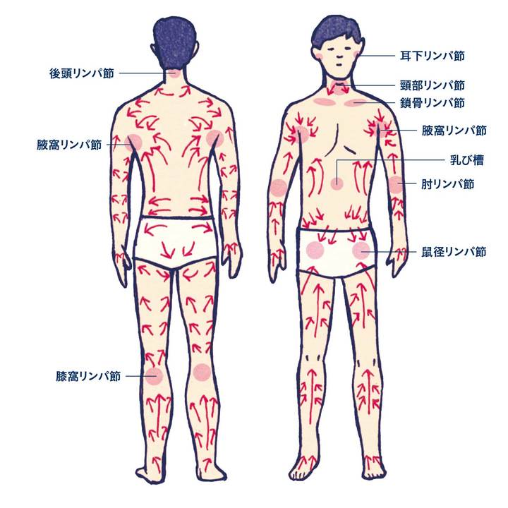 【3分動画】疲れを取るリンパマッサージ！腋窩リンパが流れればむくみも解消、疲れも取れて毎日ハッピー！