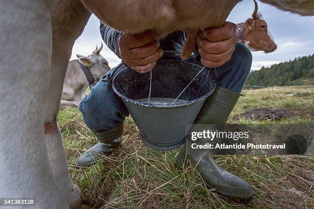 THE MILK「初搾り」900ml 3本セット_卵・乳製品 牛乳 ミルク みるく_ 配送不可地域：離島1017727福島県棚倉町ふるさと納税サイト「ふるなび」
