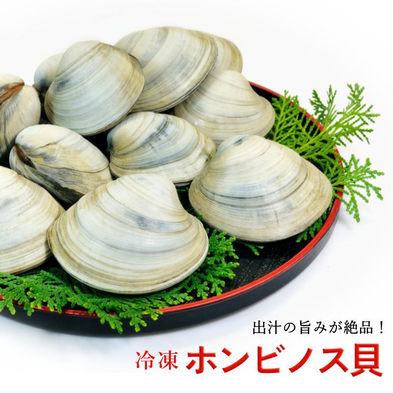 冷蔵 白はまぐり ホンビノス貝 4個～5個