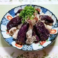 暑い日に食べたい！さっぱりおかず&スタミナ料理のレシピ集キナリノ