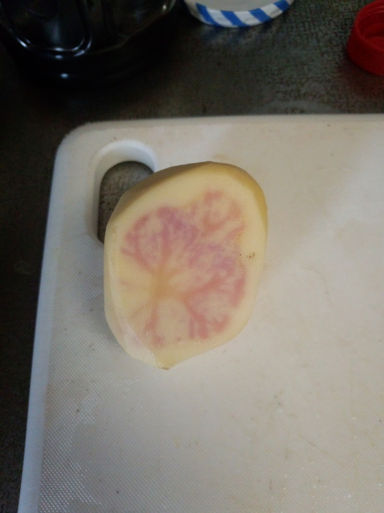 じゃがいも 北海道富良野産 赤いじゃがいも レッドムーン 5kg 送料無料スイートベジタブルファクトリ