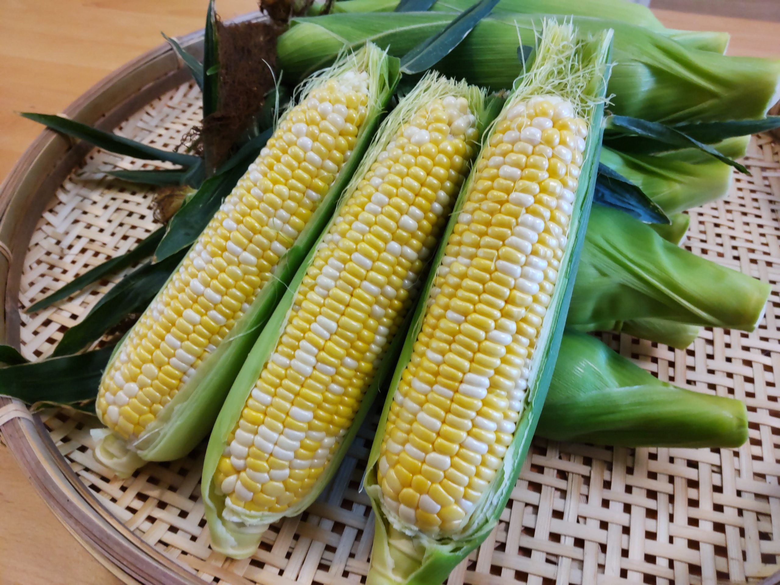 野菜シリーズ とうもろこし:イラスト無料