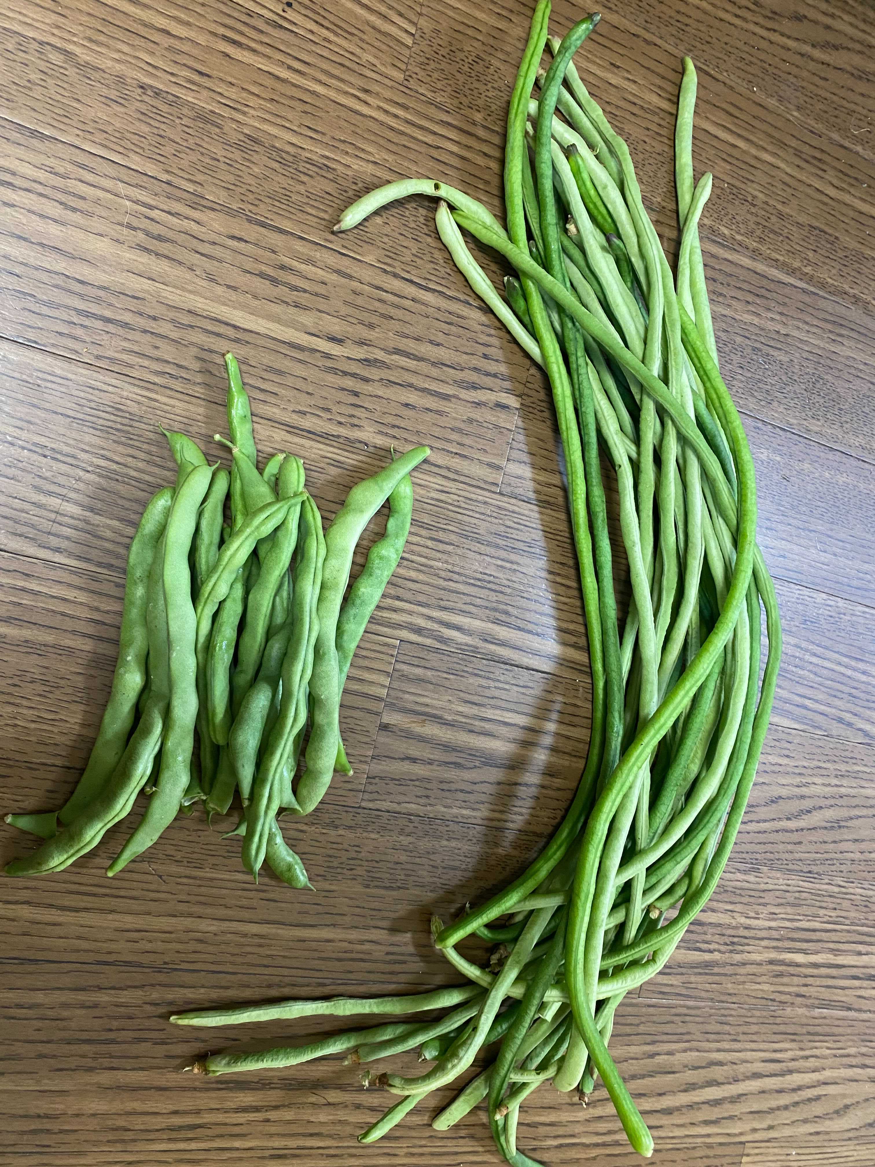 いんげんの栄養と健康効果を解説栄養を逃さない食べ方も紹介ふるなび公式ブログ ふるさと納税DISCOVERY