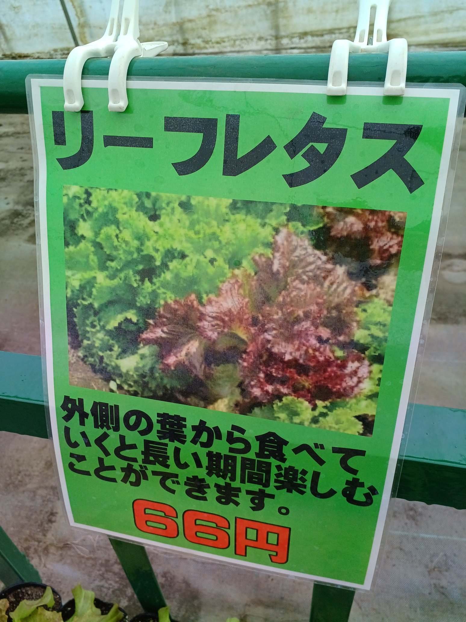 花のまつうら - 夕張郡由仁町川端 花屋Yahoo!マップ