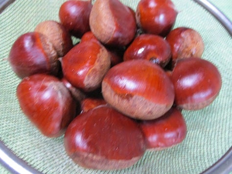 干し柿の栄養素や効果効能とは? 干し方・作り方も含めてプロに聞きました東京ガス ウチコト