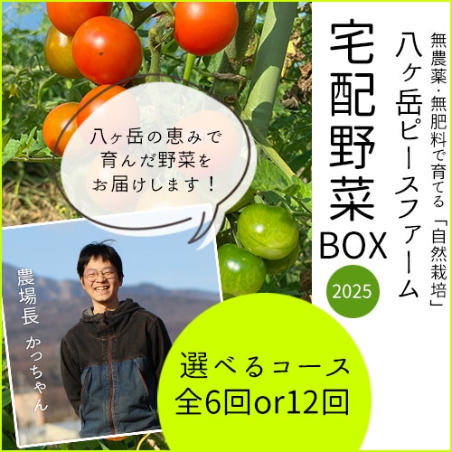 旬の野菜ボックス野菜8種以上、加工品1品JA千葉みらい