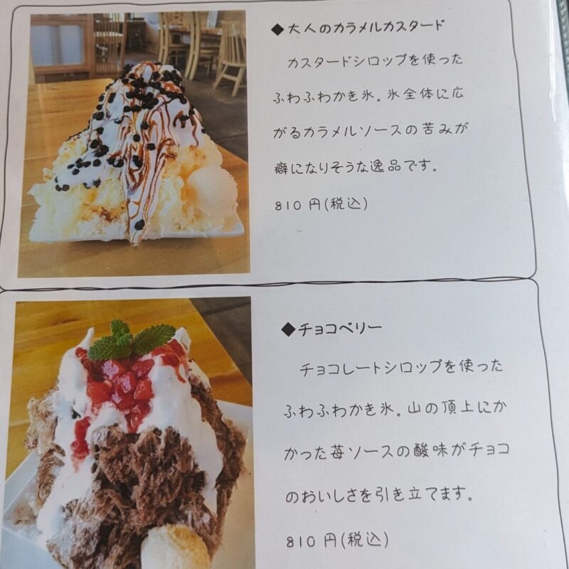 ダイワスーパーのかき氷専門店 奥殿陣屋 へ行ってきました！スイカ旨しTOUKAINEWS