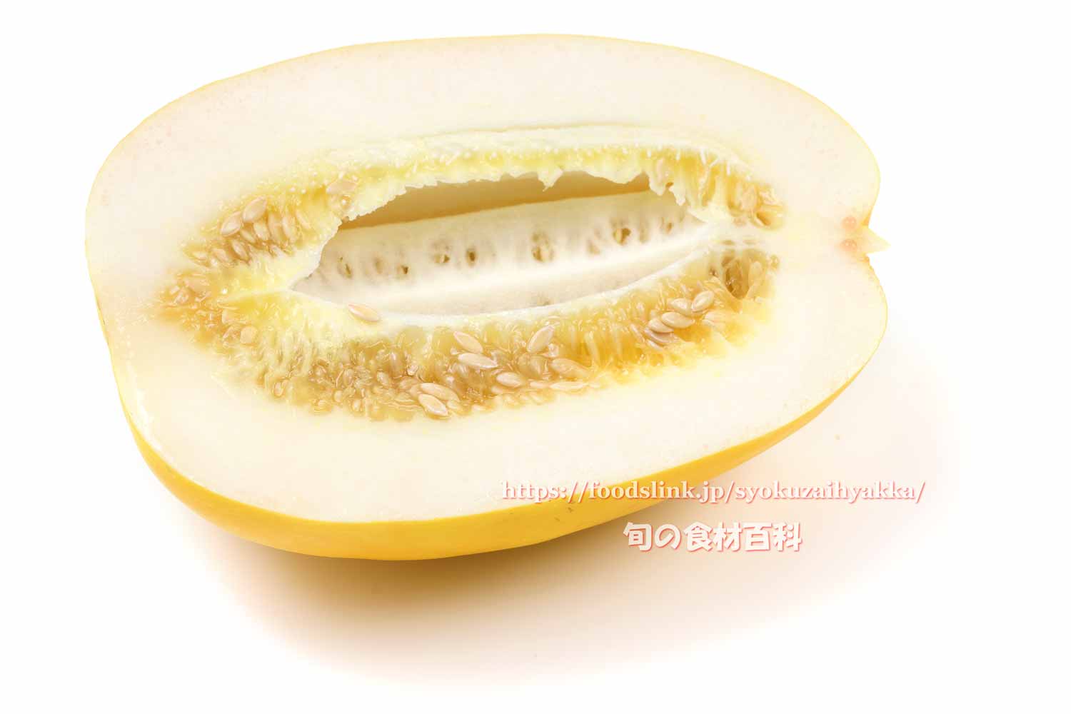 縞旨瓜 まくわうり- e-種や国内最大級の野菜種・花種・苗・農業資材の販売店