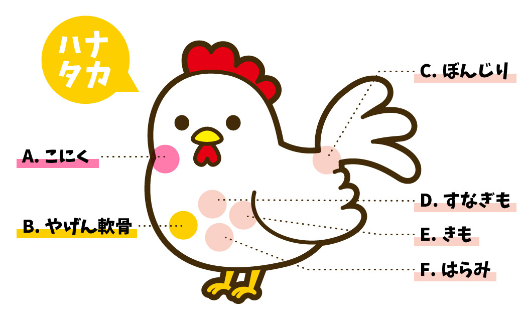 鶏肉部位の写真素材 - PIXTA