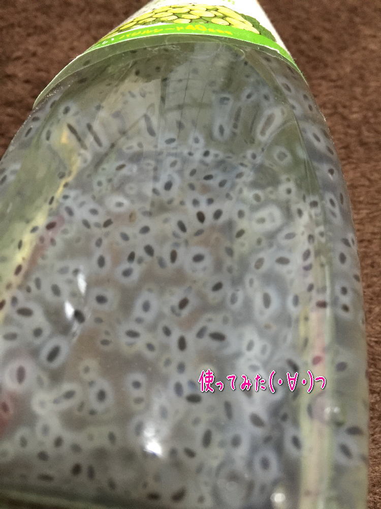 カエルのたまごグミ ソーダ味 金券当たりくじ付おもちゃの龍屋 卸ＥＣサイト