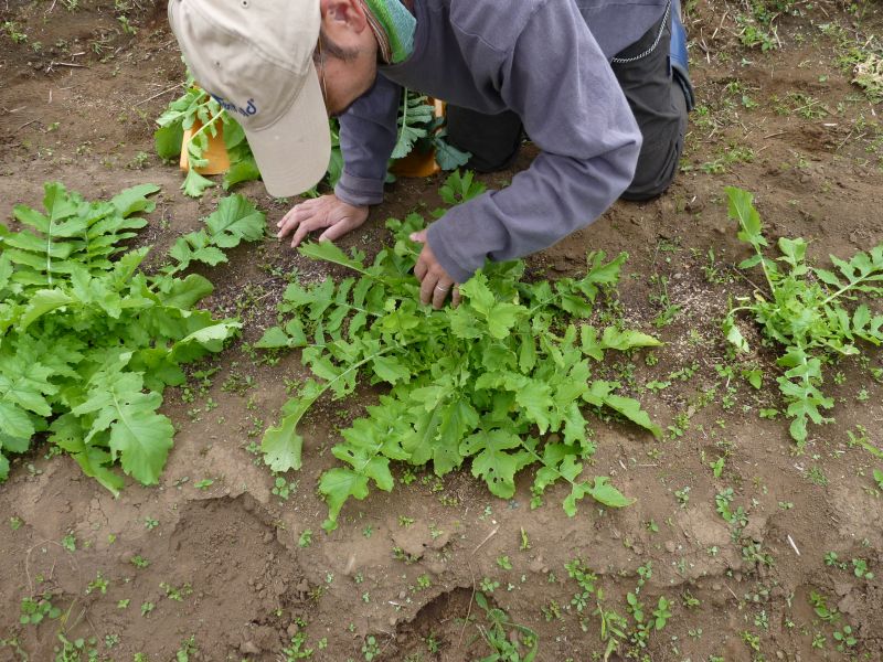 @NatureIs_Lit's video Tweet