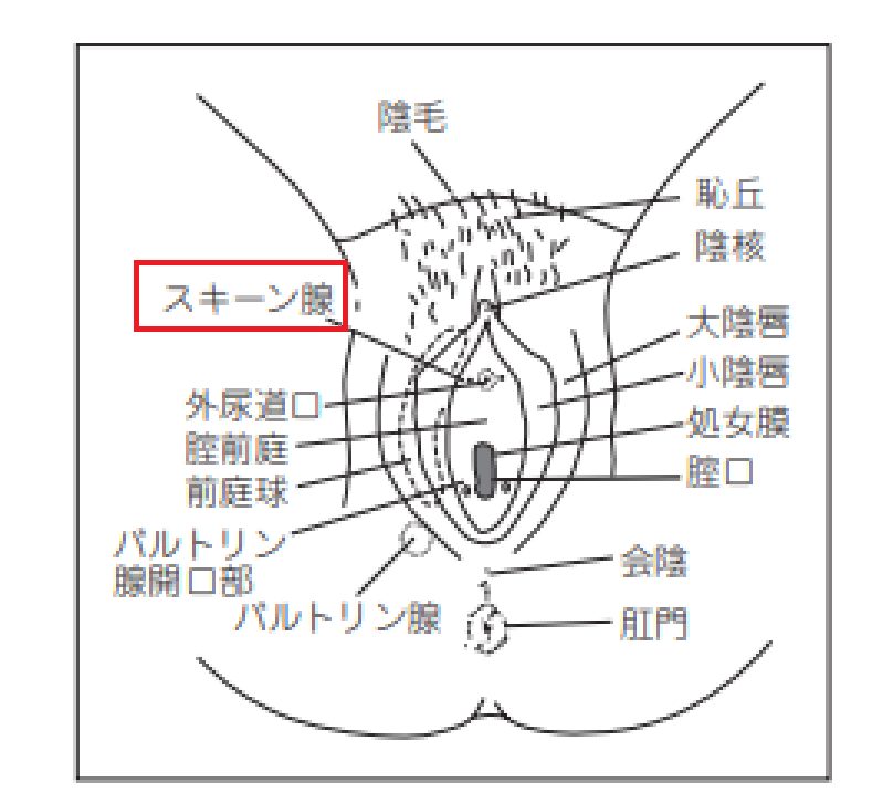 潮吹き指サックG|アダルトグッズや大人のおもちゃ、玩具の通販ショップのNLS