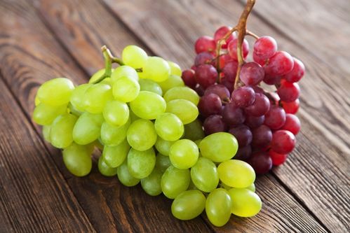 産地直送!旬のフルーツ 果物 特集ふるさと納税サイト「さとふる」