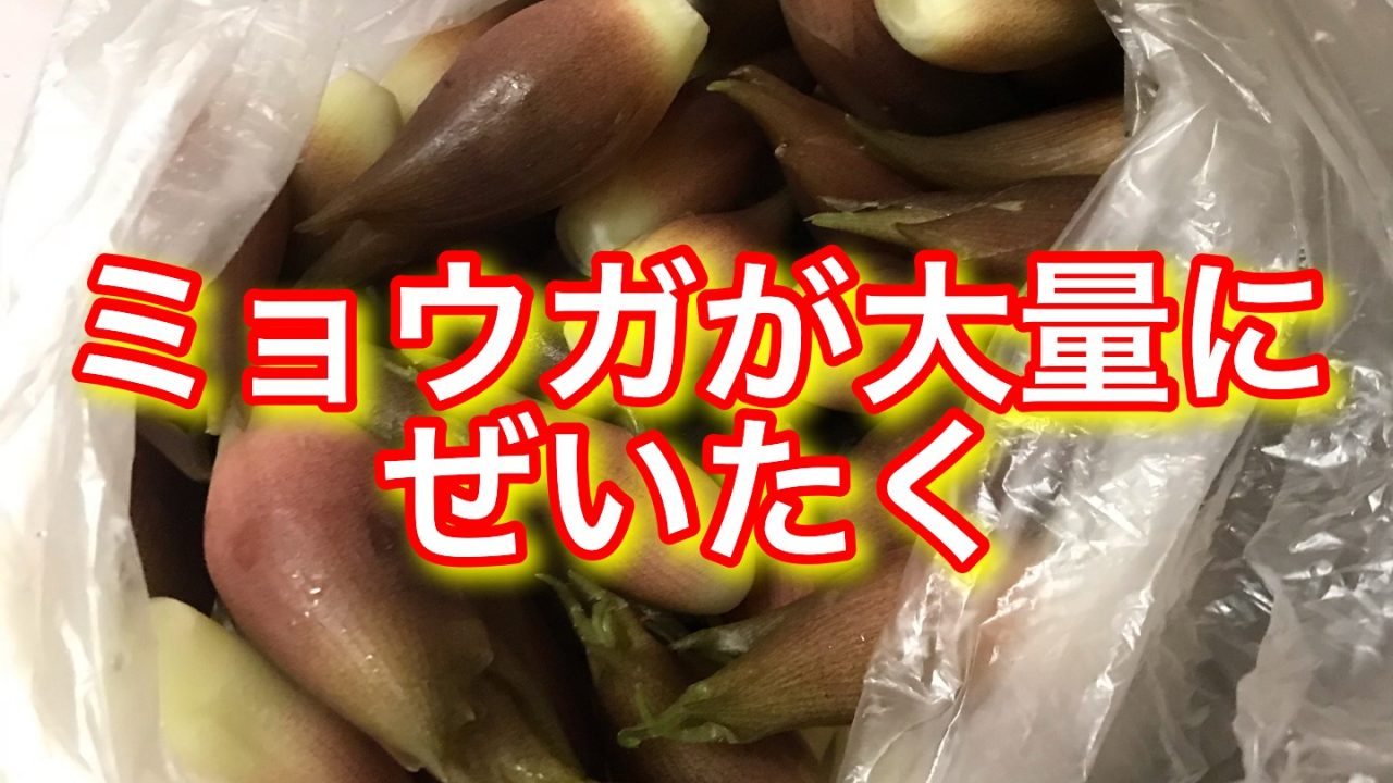 夏にぴったりの五味薬味ミックスの作り方