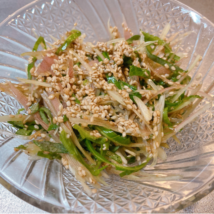 冷凍しても大丈夫？みょうがを長持ちさせる3つの保存方法 - くふう トクバイニュース