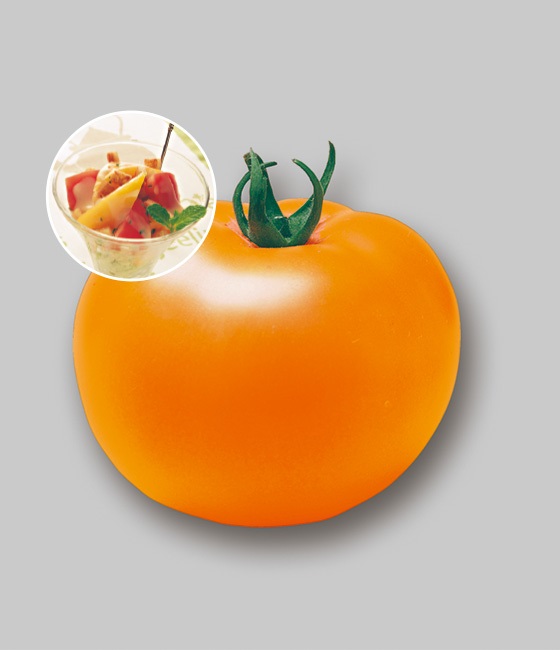 プチぷよ 黄色実 新食感！薄皮ミニトマト2個～ 9cmポット 自根苗植物のＩＴＡＮＳＥ 全品送料無料・即出荷