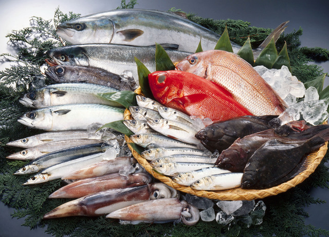 9月が旬の魚 - 魚河岸ウォーカ