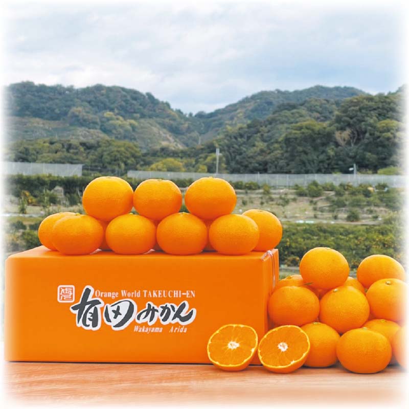 温州みかんはどこから来た？その歴史と温州みかんの名前の由来を紹介