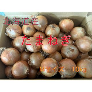 エディブルフラワーの種 食用カレンデュラ スノウプリンセスの通販 by 複数購入で割引します♡ちっぴラクマ