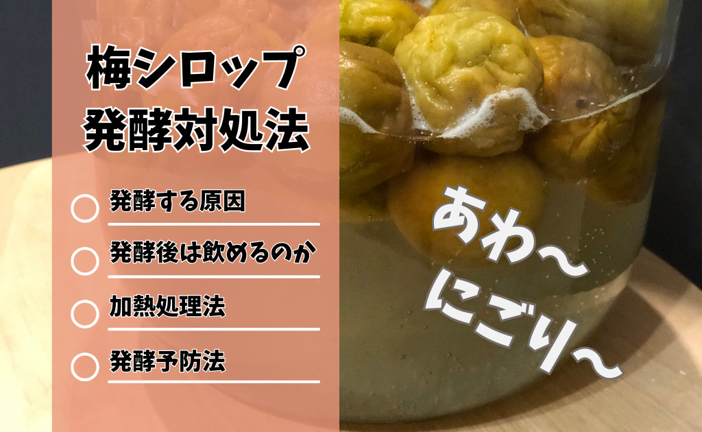 梅シロップ5日目です。氷砂糖がかなり溶けてきました。 エキスも順調に上がっています。 透明なエキス。濁りはありません。発泡もしていません。カビもありません。このまま順調に進んで欲しいです。毎日がパンプロが教えるパン作り元パン職人パンのある暮らし