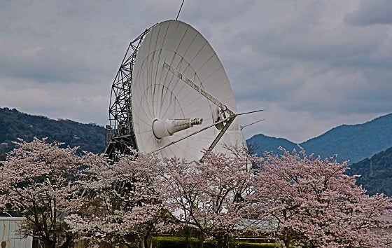 アンパンマンの登場人物一覧 - Wikipedia