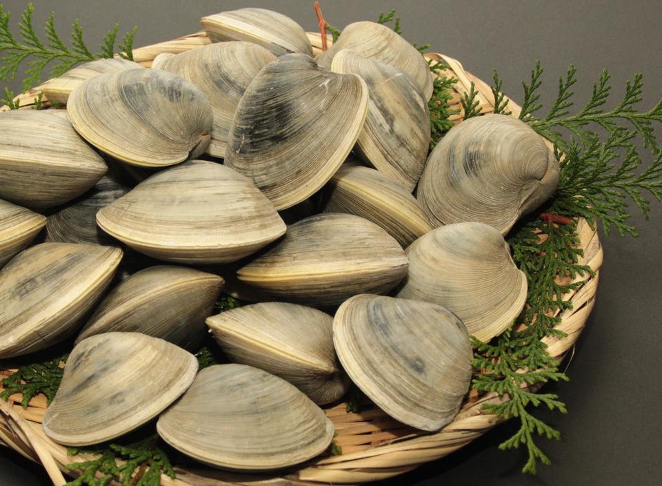 居酒屋ではまぐり頼んだら価格差のあるホンビノス貝出てきた→類似品の俗称ってどこまでOK？様々な意見「見分け方は？」 - Togetter