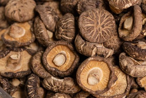 しいたけの裏が茶色や黒い これって食べれる？変色の原因や注意点、調理法についてeveryday life