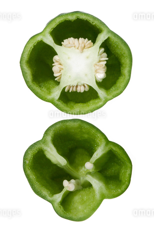 くらべて発見 やさいの「おなか」