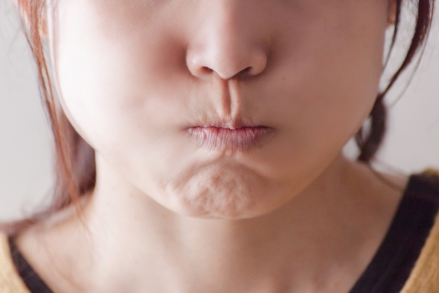 梅干しを食べたらみんなこういう顔になるのよね？」写真で一言ボケて bokete- ボケて