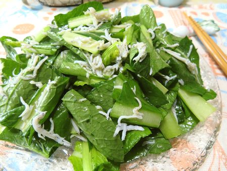 「小松菜」道内も価格安定！生で食べるレシピを紹介生活応援野菜・ようやく例年並みの価格に北海道