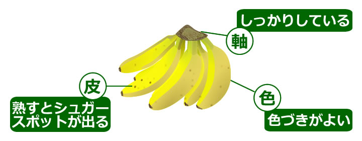 おいしいバナナの選び方！安全・NGなものの見分け方、正しい保存方法 – シュフーズ