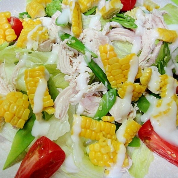 家計にやさしい節約レシピ♪ レタスとオクラの鶏しゃぶサラダ