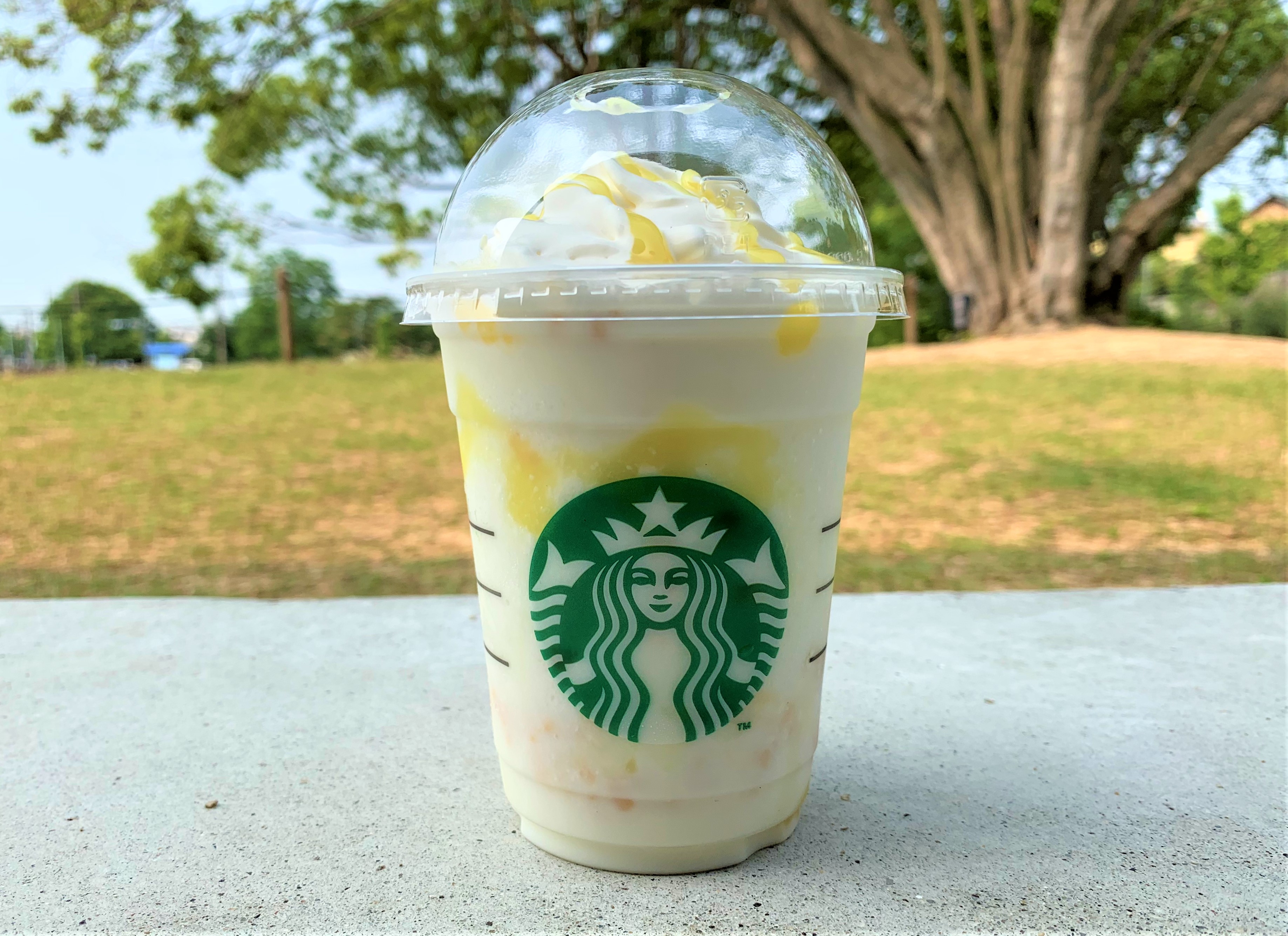 夏に見逃せない！絶対飲むべきレモンヨーグルト発酵フラペチーノ！