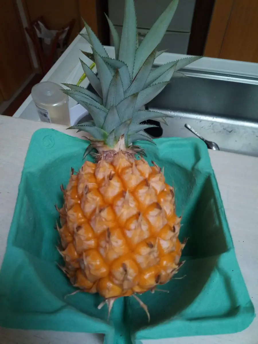 斬新なインテリアに最適!南国感溢れるパイナップルを育てようひとはなノート