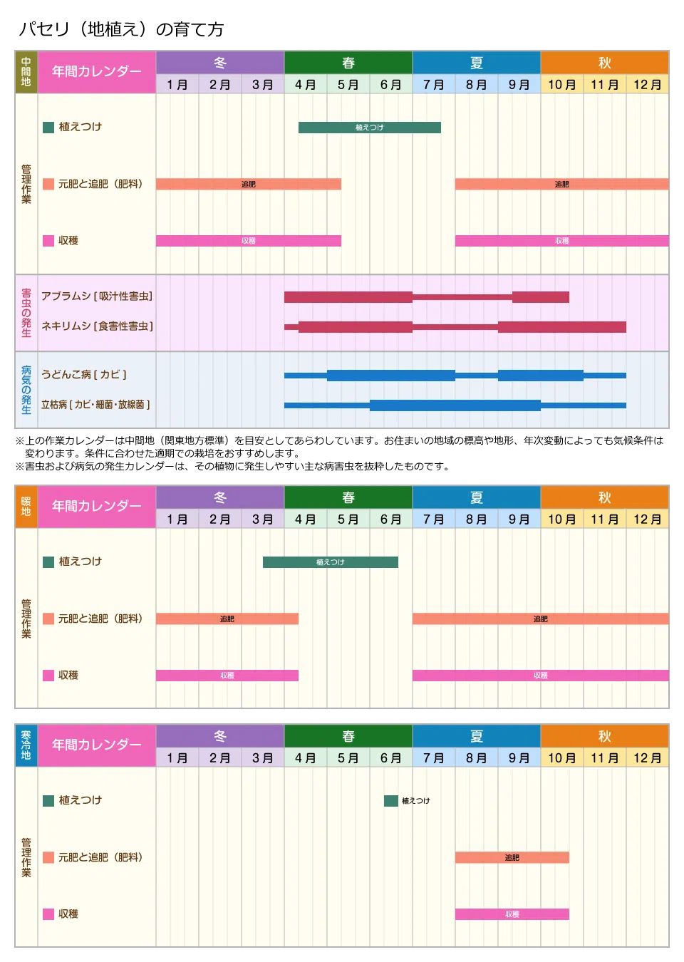寒冷地でも楽しむイタリアンパセリ 11月の収穫と保存のコツ - 空と花の色