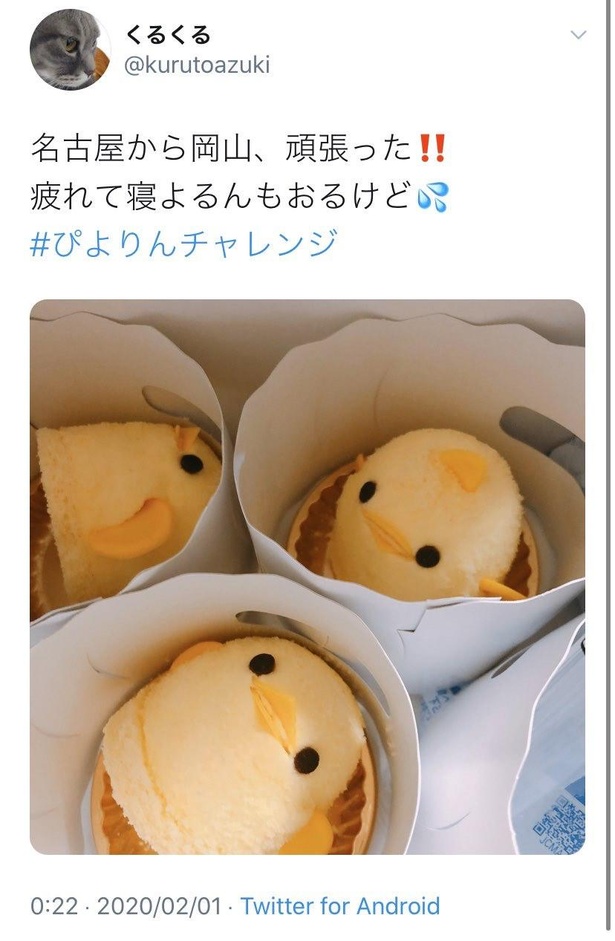 名古屋 誕生日 面白いお店TikTok