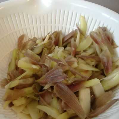 ミョウガの収穫時期の見分け方と上手な収穫方法!収穫後の貯蔵方法まで!BOTANICA